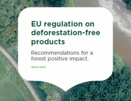 EU Regulation on Deforestation-Free Products: Recommendations for a Forest Positive Impact