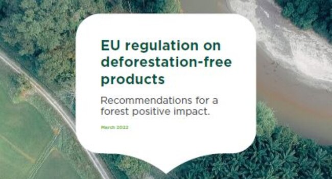 EU Regulation on Deforestation-Free Products: Recommendations for a Forest Positive Impact