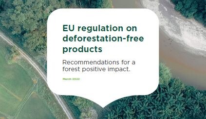 EU Regulation on Deforestation-Free Products: Recommendations for a Forest Positive Impact