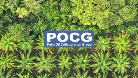 The Palm Oil Collaboration Group