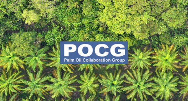 The Palm Oil Collaboration Group