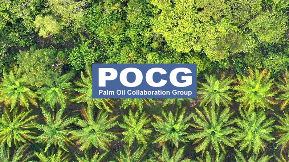 The Palm Oil Collaboration Group