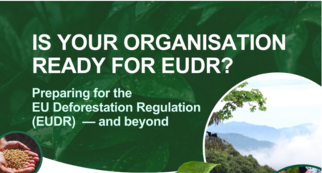 Webinar: Preparing for the EU Deforestation Regulation (EUDR) — and beyond
