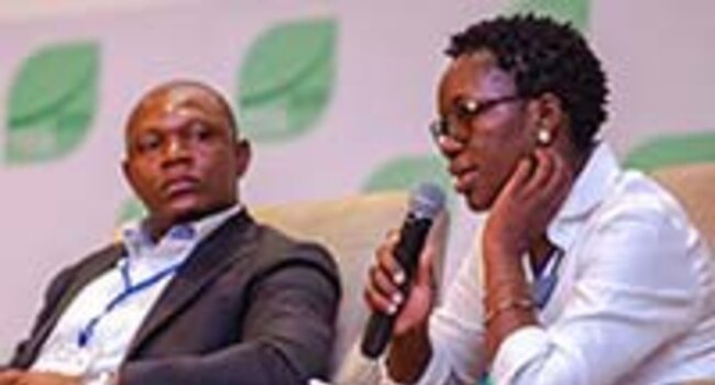 Working together to achieve a sustainable palm oil sector in Africa