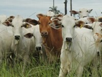 10 years of GTPS: lessons learnt to be presented at the next General Assembly