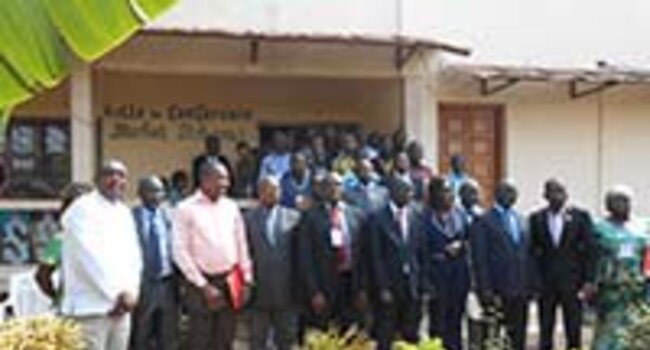 The Central African Republic develops national principles for sustainable palm oil
