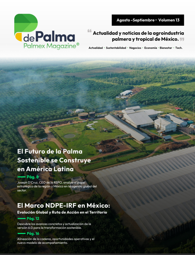Proforest contributes to Revista P de Palma with an article on NDPE IRF 6.0
