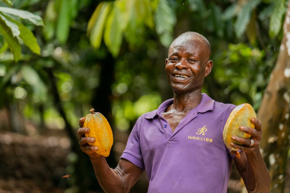 Informe Anual 2024 de Proforest Initiative Africa