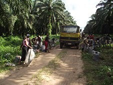 New phase for Tropical Forest Alliance 2020