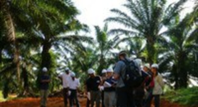 RSPO Lead Auditor training course in Malaysia