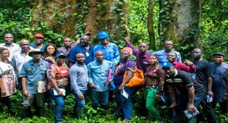 Newsletter from the Africa Palm Oil Initiative's Edo State, Nigeria, platform