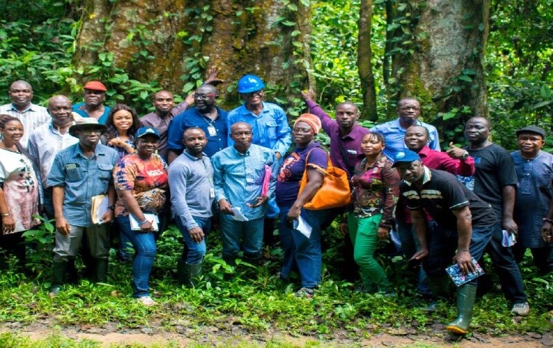 Newsletter from the Africa Palm Oil Initiative's Edo State, Nigeria, platform