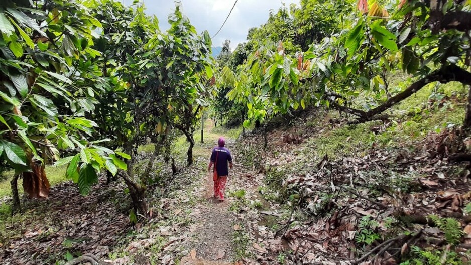 Delivering successful landscape outcomes for Indonesia’s forests