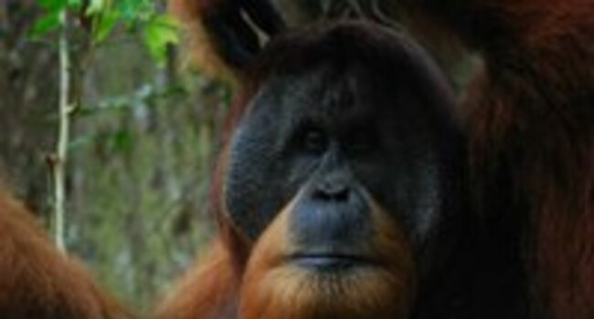 Research partnership is key to biodiversity conservation
