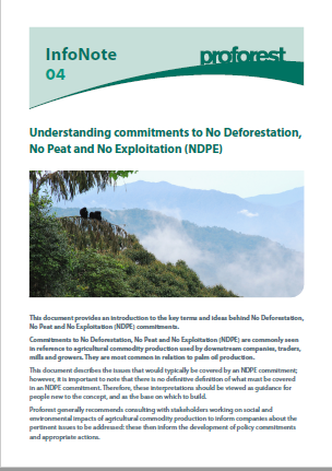 04 Understanding commitments to No Deforestation, No Peat and No Exploitation (NDPE)