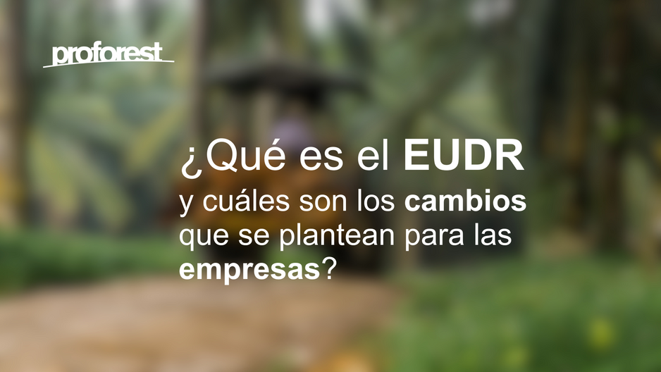 Understanding the EUDR: What It Is and Why It Matters