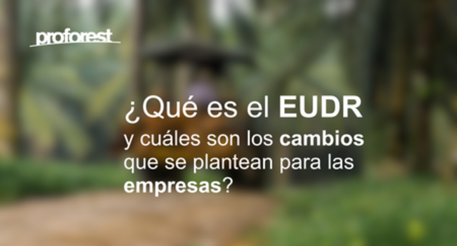 Understanding the EUDR: What It Is and Why It Matters