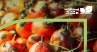 Sharing Responsibility and Success - Companies Collaborate to Support Palm Oil Landscapes