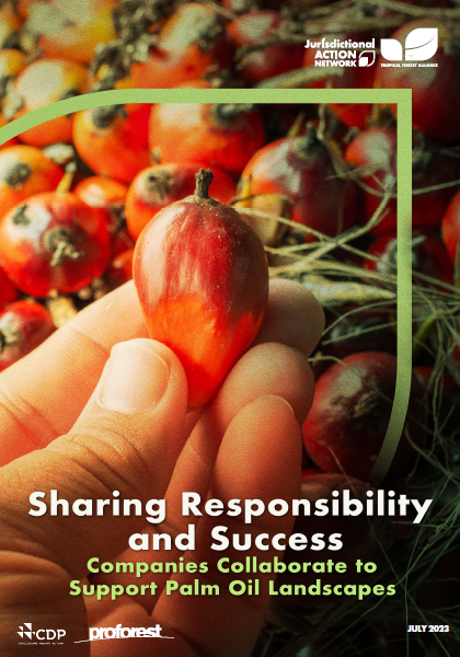 Sharing Responsibility and Success - Companies Collaborate to Support Palm Oil Landscapes