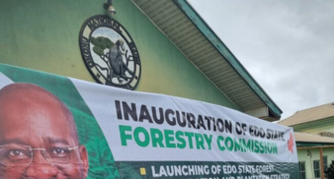 Updating 1968 forest law in Edo State, Nigeria - Investment in training and capacity building for the Africa Sustainable Commodities Initiative