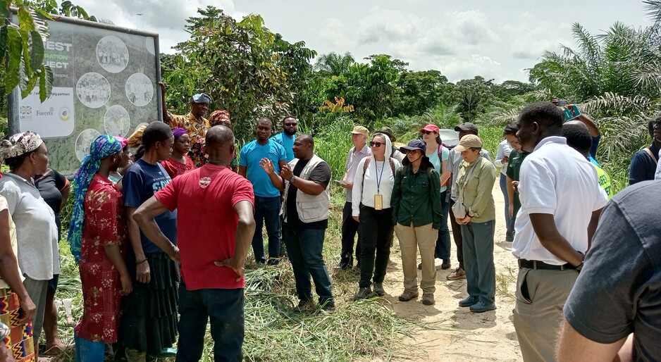 Community-led oil palm project in Adum Banso delivers additional livelihoods and forest protection