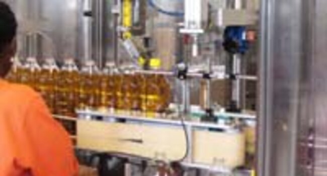 Book now for our RSPO-endorsed Supply Chain Certification course