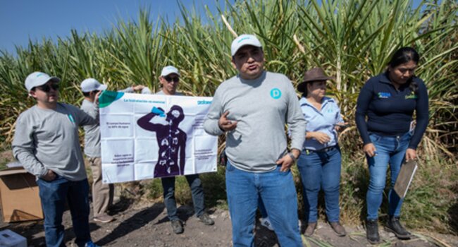 New labour reform in Mexico strengthens formalisation and compliance in the agricultural sector