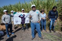 Nueva reforma laboral en México fortalece la formalización y el cumplimiento en el sector agrícola