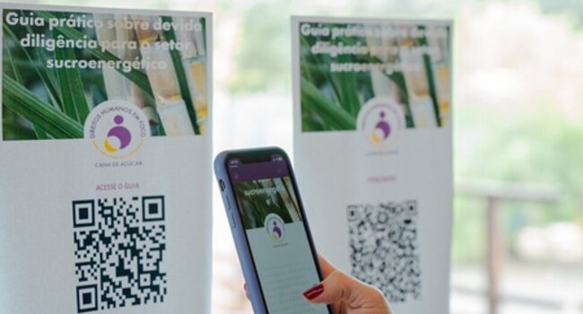 Human Rights Spotlight: Practical guide to human rights due diligence in sugarcane supply chains