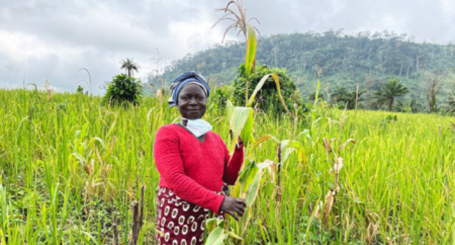 Respecting the Rights of Indigenous Peoples and Local Communities in Landscape Initiatives