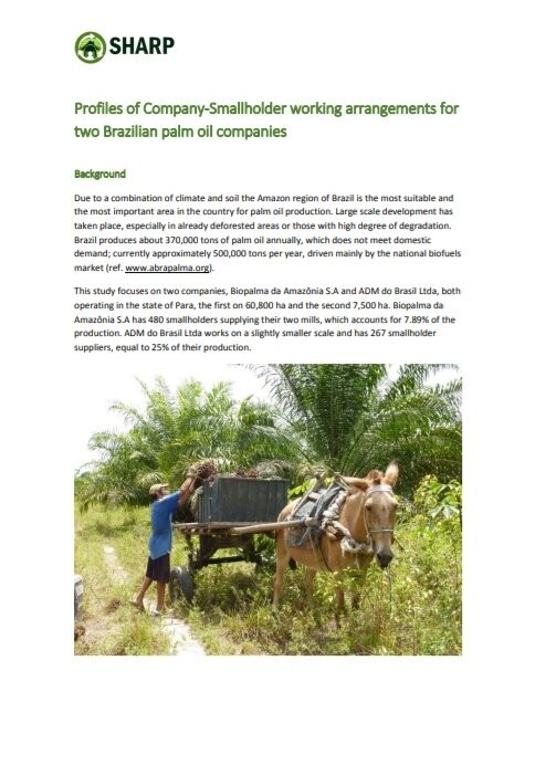 Profiles of Palm Oil Company-Smallholder Working Arrangements