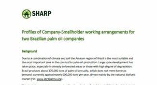 Profiles of Palm Oil Company-Smallholder Working Arrangements