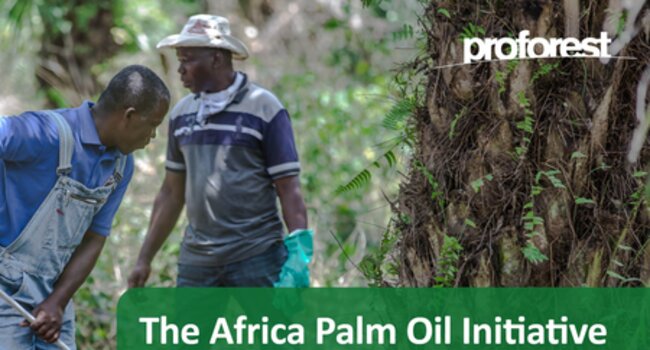 Five Years of Progress towards Sustainable Palm Oil in Africa at CoP26