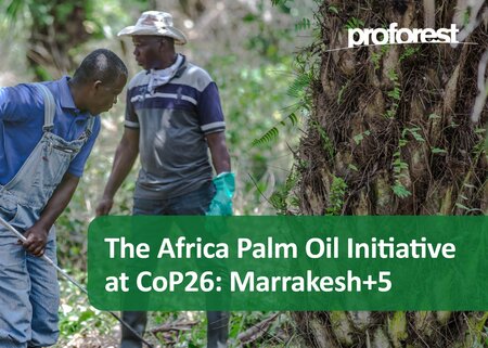Five Years of Progress towards Sustainable Palm Oil in Africa at CoP26