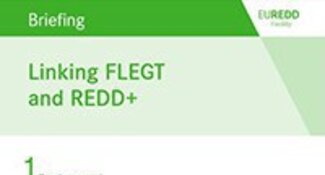 Proforest e o Mecanismo de REDD UE publicam notas informativas sobre o FLEGT e REDD +