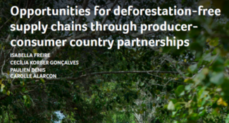 Opportunities for deforestation-free supply chains through producer-consumer country partnerships