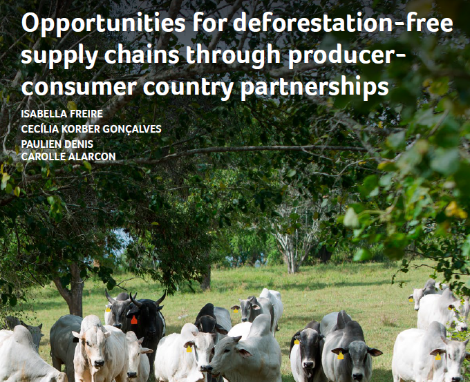 Opportunities for deforestation-free supply chains through producer-consumer country partnerships