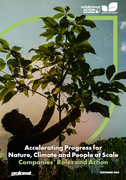 Accelerating Progress for Nature, Climate and People at Scale: Companies’ Roles and Action