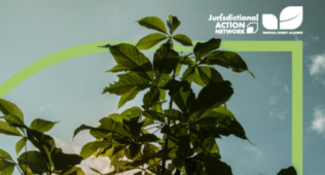 Accelerating Progress for Nature, Climate and People at Scale: Companies’ Roles and Action