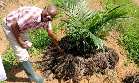 The SHARP partnership