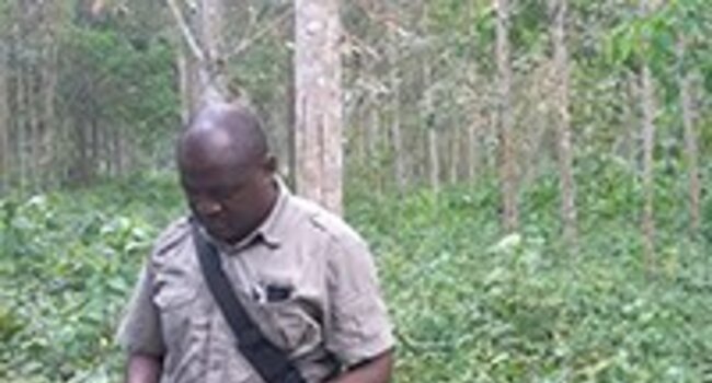 Supporting legal compliance with the Proforest Field App