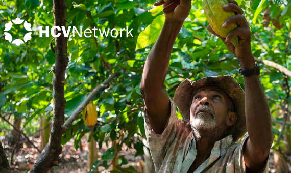 Nature Positive Farming – package to support smallholder producers achieve Deforestation and Conversion Free sourcing requirements.