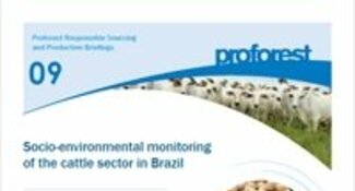 Socio-environmental monitoring of the cattle sector in Brazil