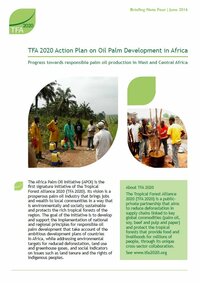 Africa Palm Oil Initiative briefing 4: Progress towards responsible palm oil production in West and Central Africa