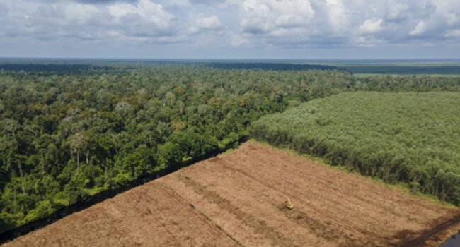 Indonesia landscape