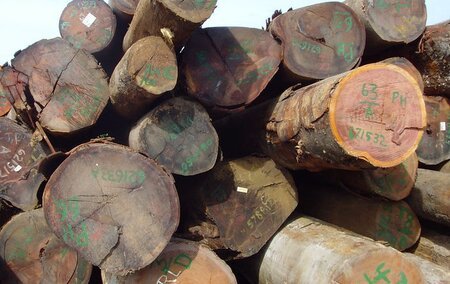 Evaluaciones de AVC para empresas forestales