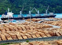 Third party scheme compliance with EU Timber Regulation