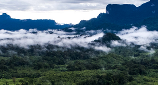 Beyond Value Chain Mitigation: Incentivising Corporate Action at Landscape and Jurisdictional Scale