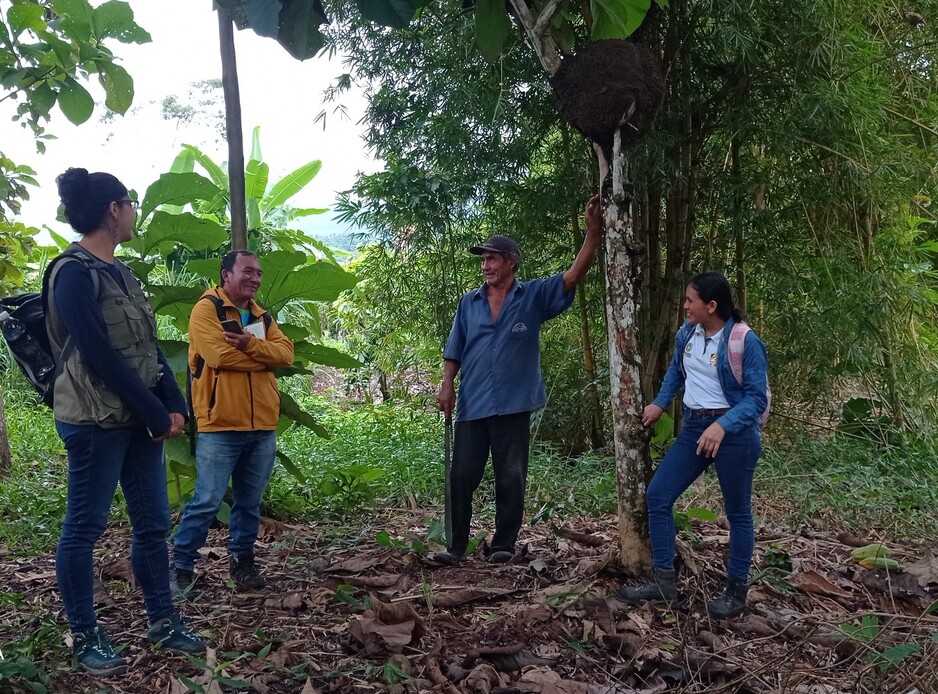 Group in cocoa plantation, Juanjui, Peru