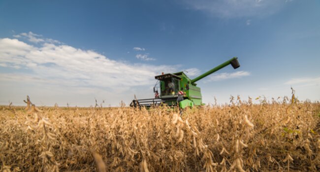 Proforest formalises participation in the Sustainable Soy Alliance, reinforcing its commitment to sustainable soy supply chains in Brazil